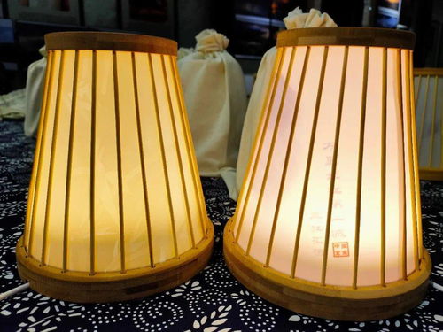 宜賓造智能竹燈發布 科技文創產品新玩法，燈具塑件引領未來